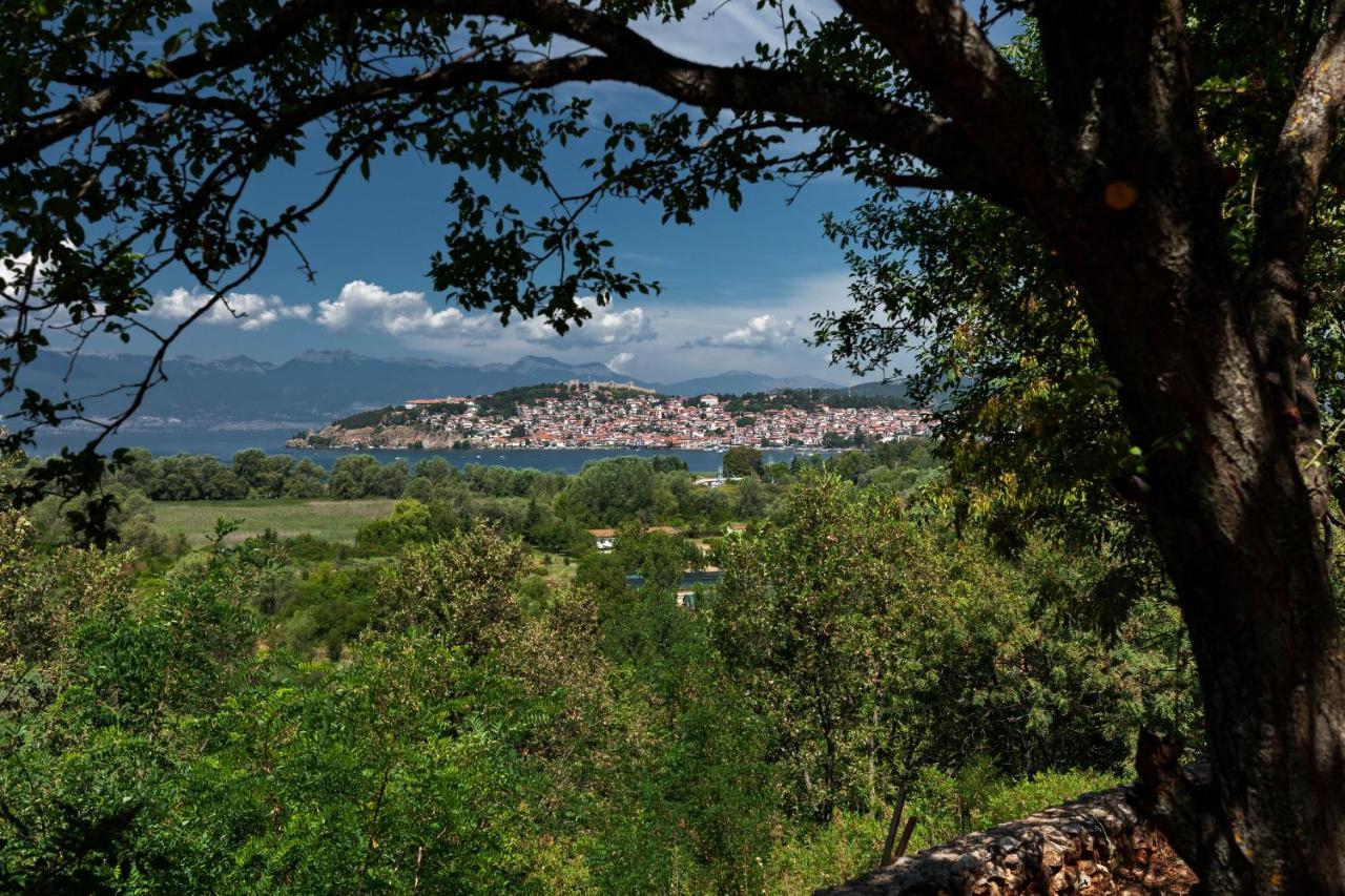 Bitrak House Megdani *